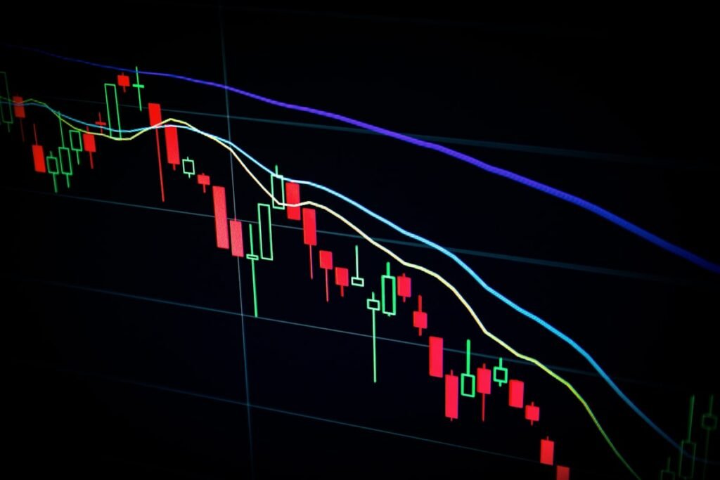 dividendos: o guia - Diário do Investidor